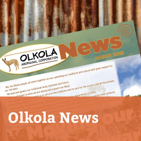 Olkola News