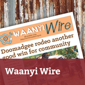 Waanyi Wire